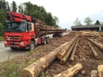 Holztransporte