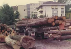 Vergangene Zeiten